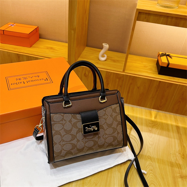 Coach bag-0110