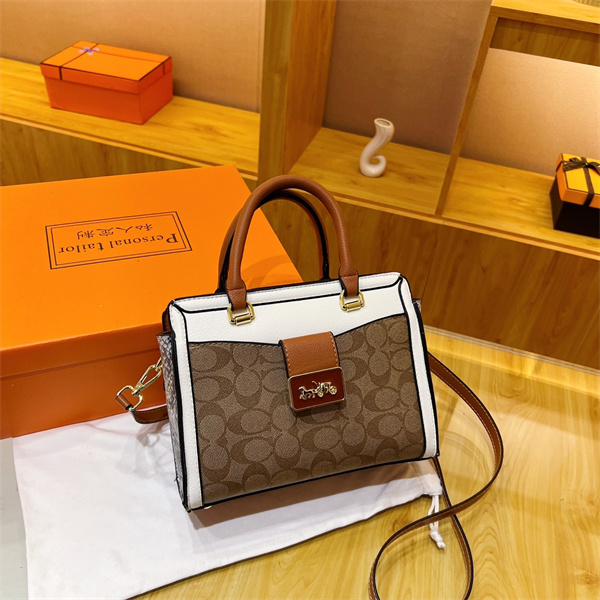 Coach bag-0111
