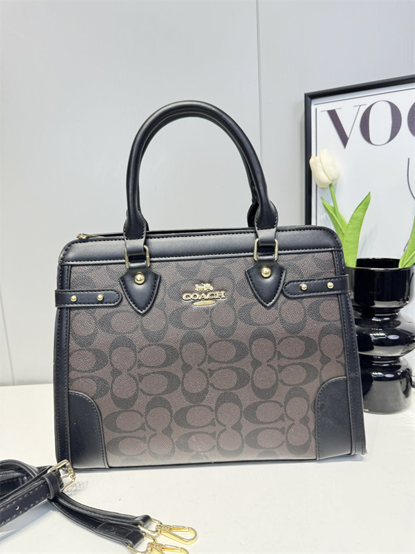 Coach bag-0120