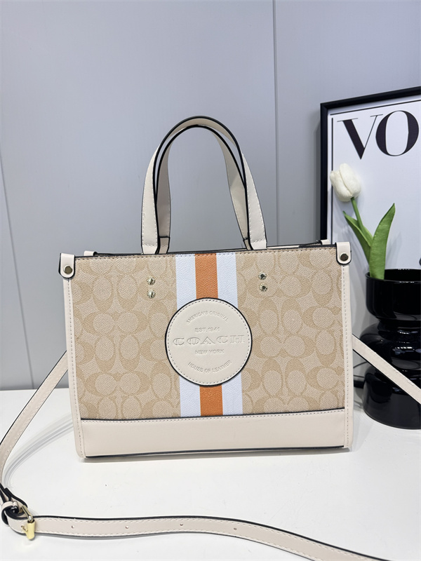 Coach bag-0123