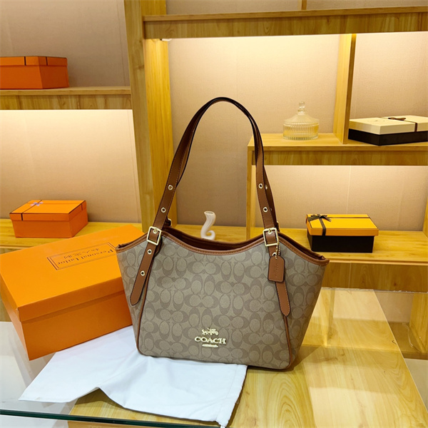 Coach bag-0131