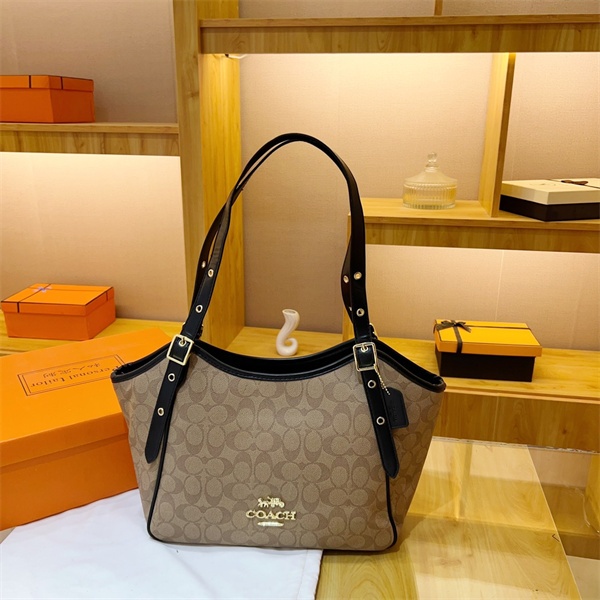 Coach bag-0133