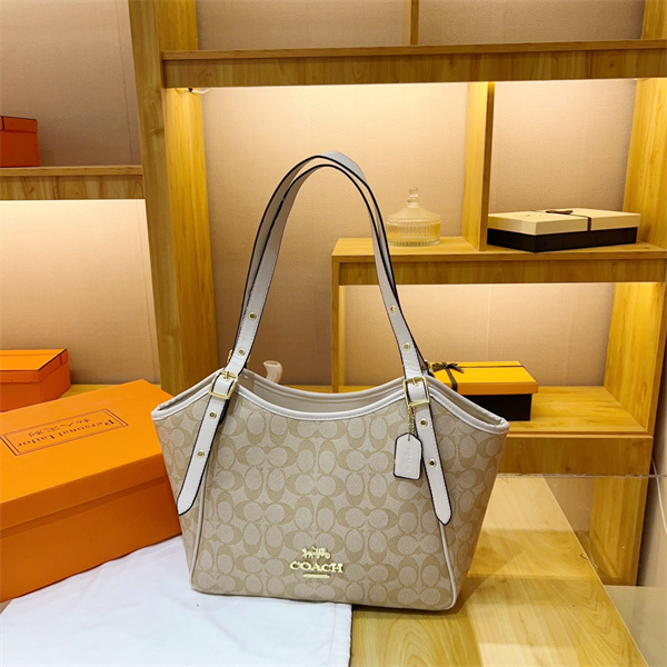 Coach bag-0135