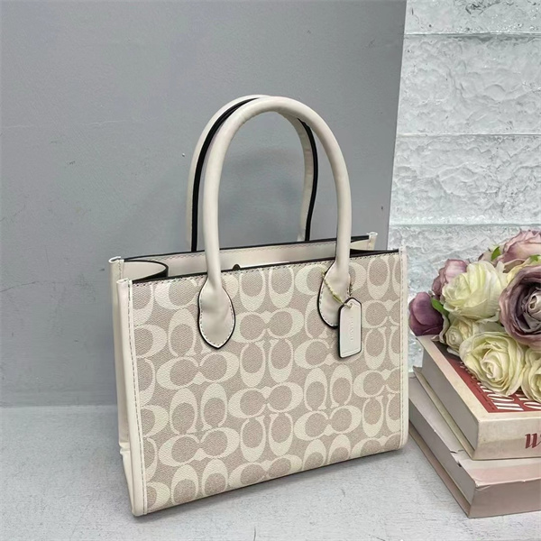 Coach bag-0153