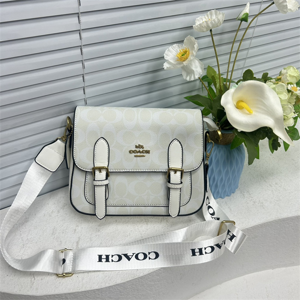 Coach bag-0169