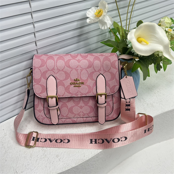 Coach bag-0170