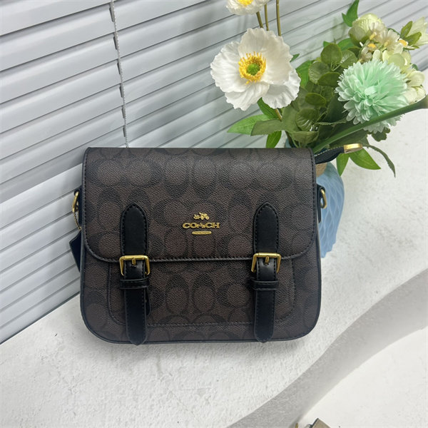 Coach bag-0174