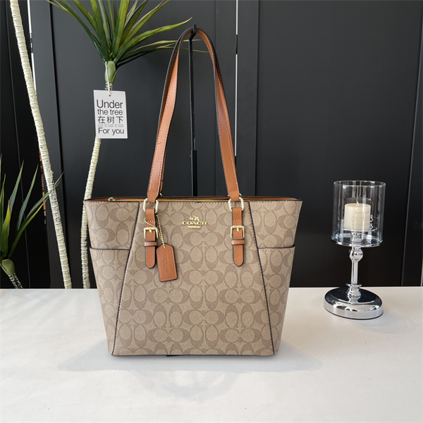 Coach bag-0178