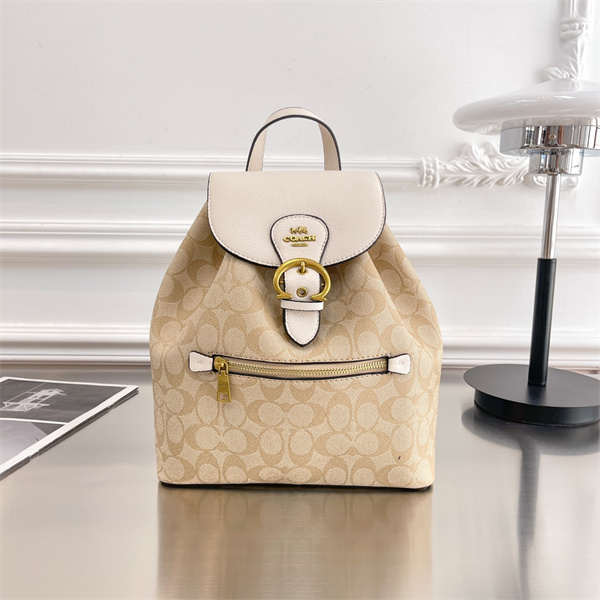Coach bag-0210