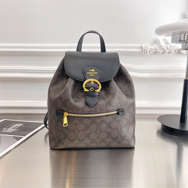 Coach bag-0212