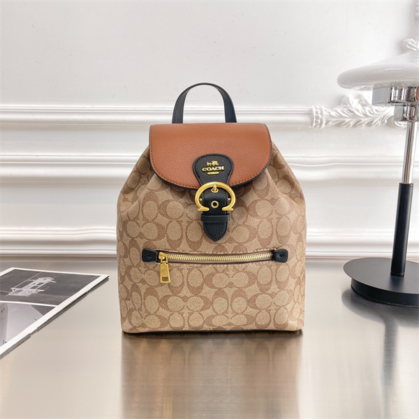 Coach bag-0213