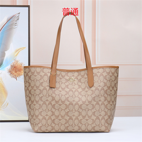 Coach bag-0022
