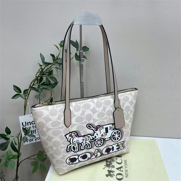 Coach bag-0222