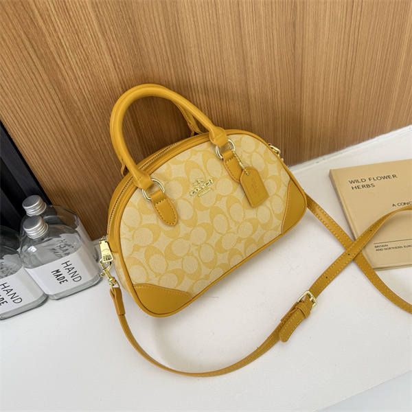 Coach bag-0237