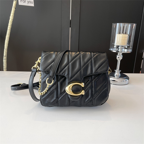 Coach bag-0241