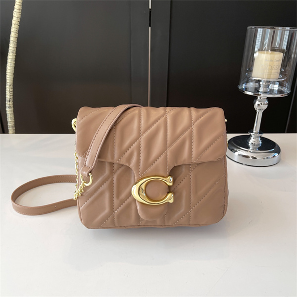 Coach bag-0243