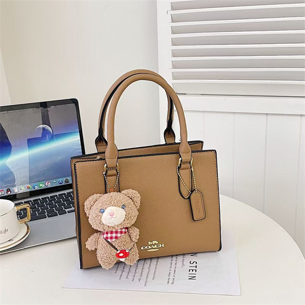 Coach bag-0255