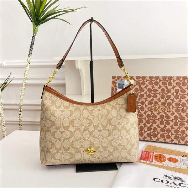 Coach bag-0267