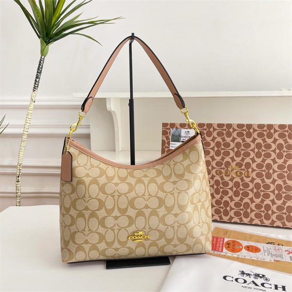 Coach bag-0269
