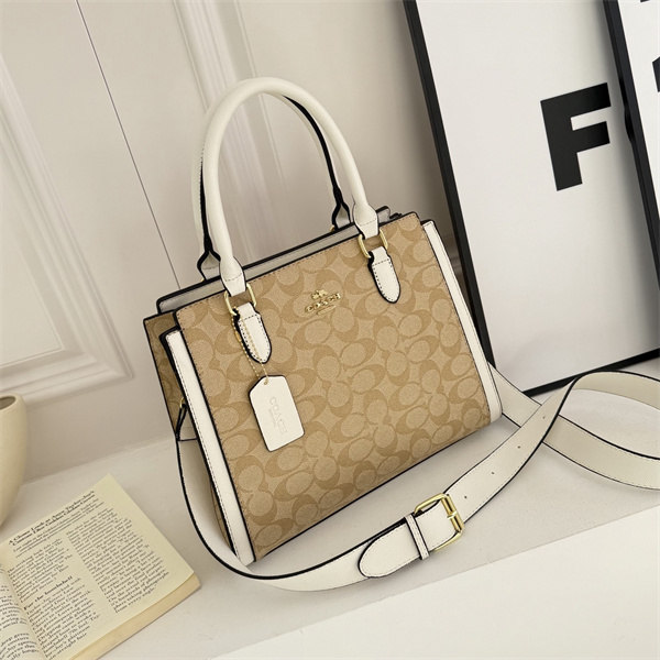 Coach bag-0273