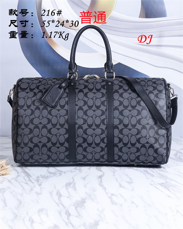 Coach bag-0029