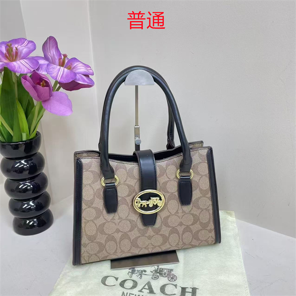 Coach bag-0297