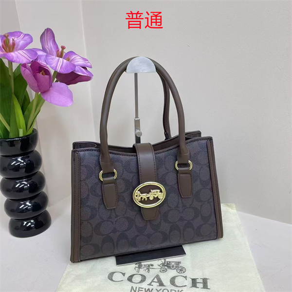Coach bag-0300