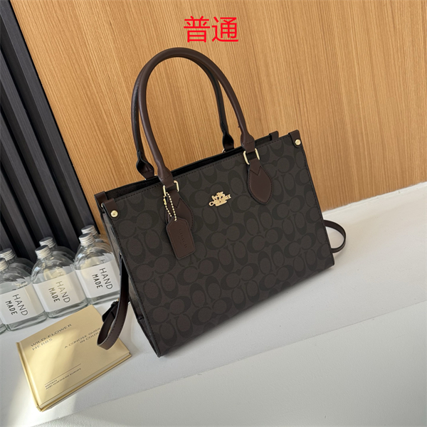 Coach bag-0346