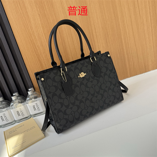 Coach bag-0303