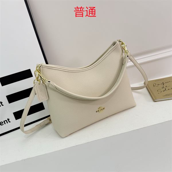 Coach bag-0307
