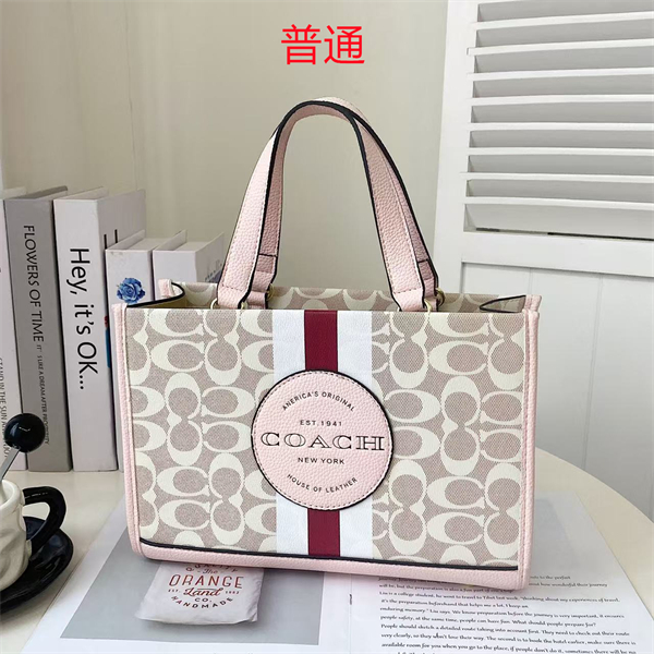 Coach bag-0311
