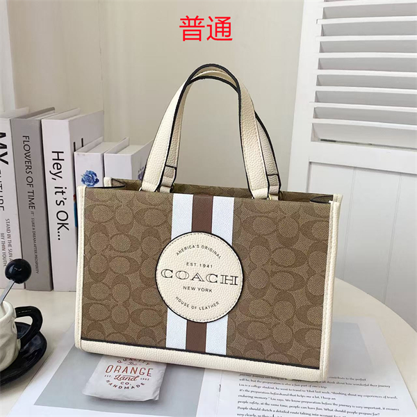 Coach bag-0313