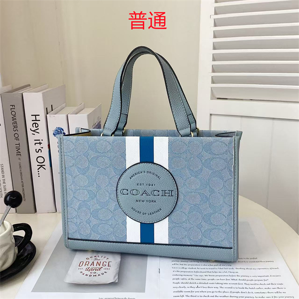 Coach bag-0314
