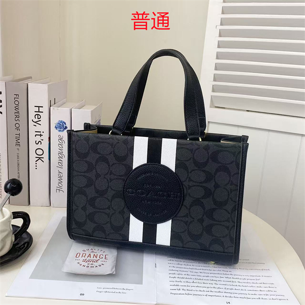 Coach bag-0317