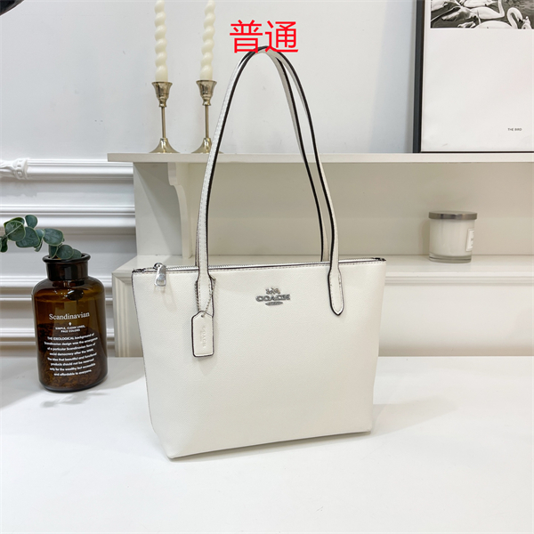 Coach bag-0323