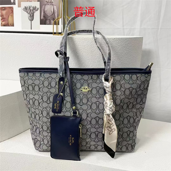 Coach bag-0327