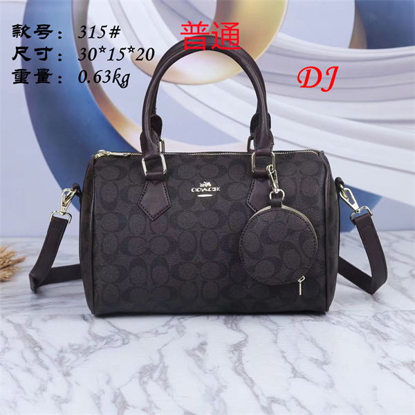 Coach bag-0033