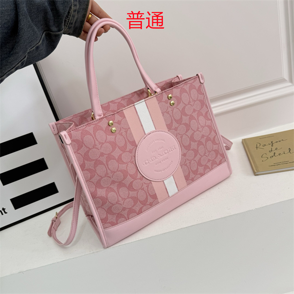 Coach bag-0336
