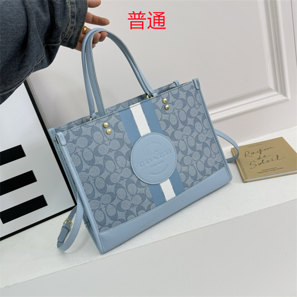 Coach bag-0340