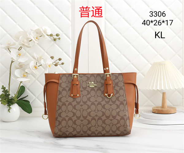Coach bag-0341