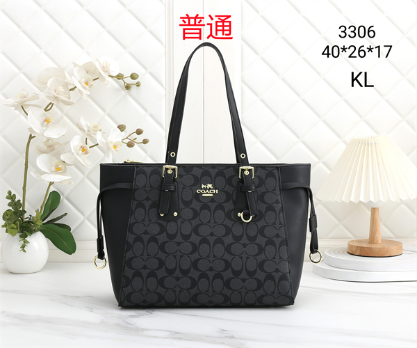 Coach bag-0343