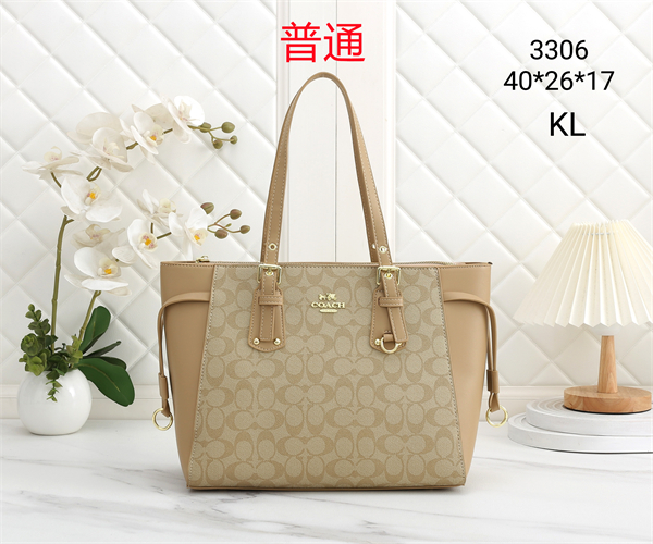 Coach bag-0344