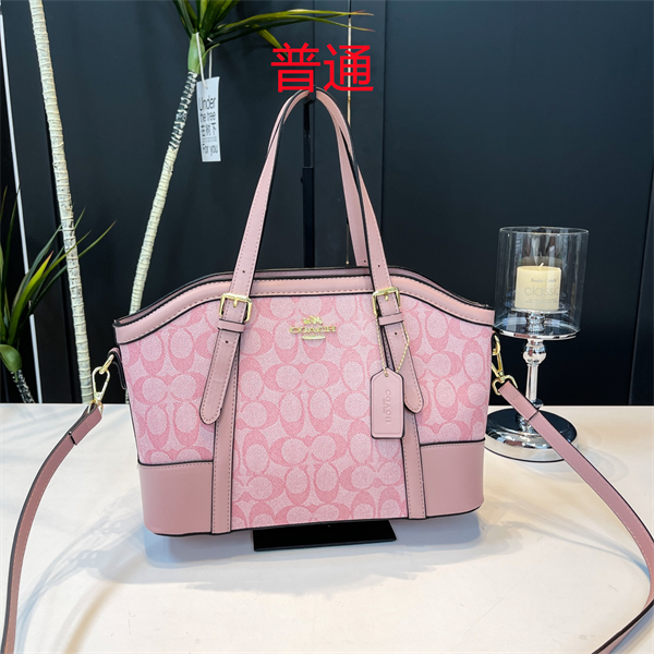 Coach bag-0349