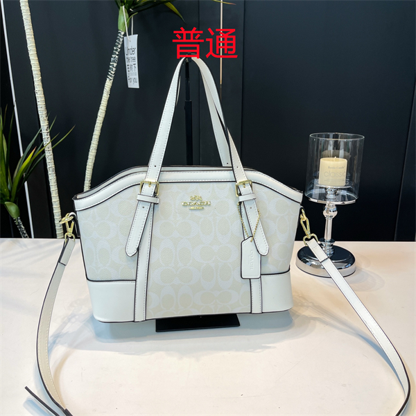Coach bag-0350