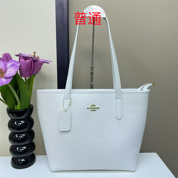 Coach bag-0362