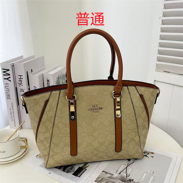 Coach bag-0367