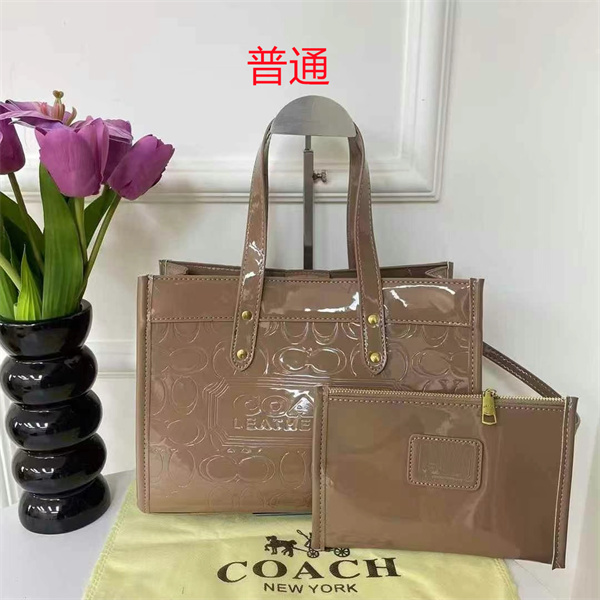 Coach bag-0391