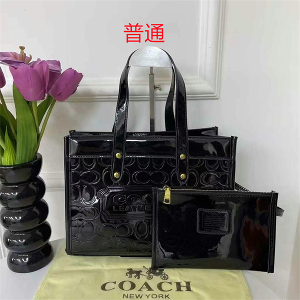 Coach bag-0394