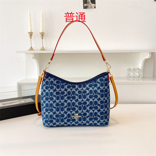 Coach bag-0400