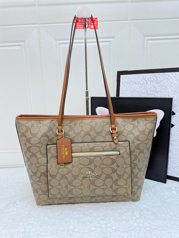 Coach bag-0405